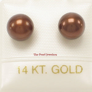 AAA 7–7.5 mm High Luster Chocolate Cultured Pearl Stud Earrings