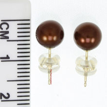 Load image into Gallery viewer, AAA 7–7.5 mm High Luster Chocolate Cultured Pearl Stud Earrings
