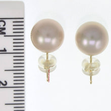 Load image into Gallery viewer, AAA High Luster Lavender Pearl Stud Earrings