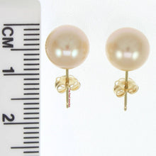 Load image into Gallery viewer, AAA 8.5–9 mm High Luster Peach Cultured Pearl Stud Earrings