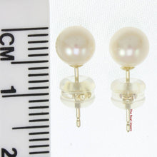 Load image into Gallery viewer, AAA 5.5–6 mm High Luster White Cultured Pearl Stud Earrings