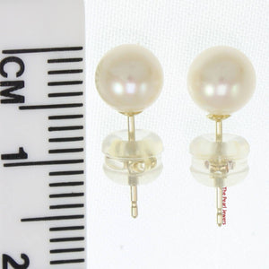 AAA 5.5–6 mm High Luster White Cultured Pearl Stud Earrings