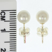 Load image into Gallery viewer, AAA 6–6.5 mm High Luster White Cultured Pearl Stud Earrings