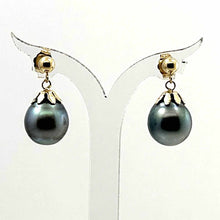 Load image into Gallery viewer, Baroque Tahitian Pearl Dangle Earrings – 14k Yellow Gold