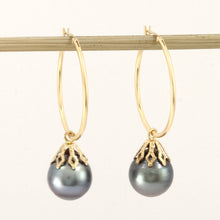 Load image into Gallery viewer, Baroque Tahitian Pearl Hoop Dangle Earrings – 14k Yellow Gold