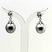 Load image into Gallery viewer, Baroque Tahitian Pearl Dangle Earrings – 14k White Gold