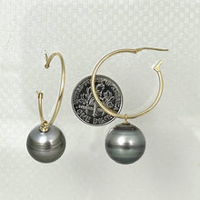 Load image into Gallery viewer, Baroque Grey Silver Tahitian Pearl Hoop Earrings – 14k Yellow Gold