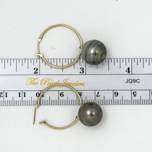 Baroque Grey Silver Tahitian Pearl Hoop Earrings – 14k Yellow Gold