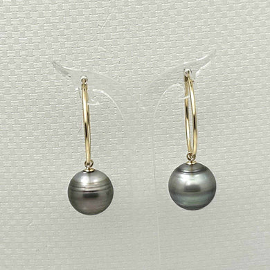 Baroque Grey Silver Tahitian Pearl Hoop Earrings – 14k Yellow Gold