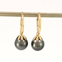Load image into Gallery viewer, Baroque Tahitian Pearl U Hoop Dangle Earrings – 14k Yellow Gold
