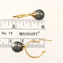 Load image into Gallery viewer, Baroque Tahitian Pearl U Hoop Dangle Earrings – 14k Yellow Gold