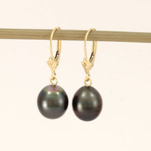 Load image into Gallery viewer, 14k Yellow Gold Black Baroque Tahitian Pearl Leverback Earrings