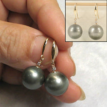 Load image into Gallery viewer, 14k Yellow Gold Diamond &amp; Black-Gray Tahitian Pearl Hook Earrings