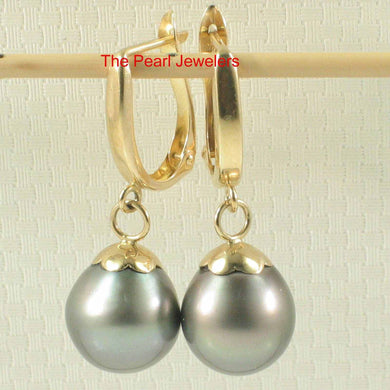 Black Peacock Tahitian Pearl Euro Back Dangle Earrings – 14k Yellow Gold