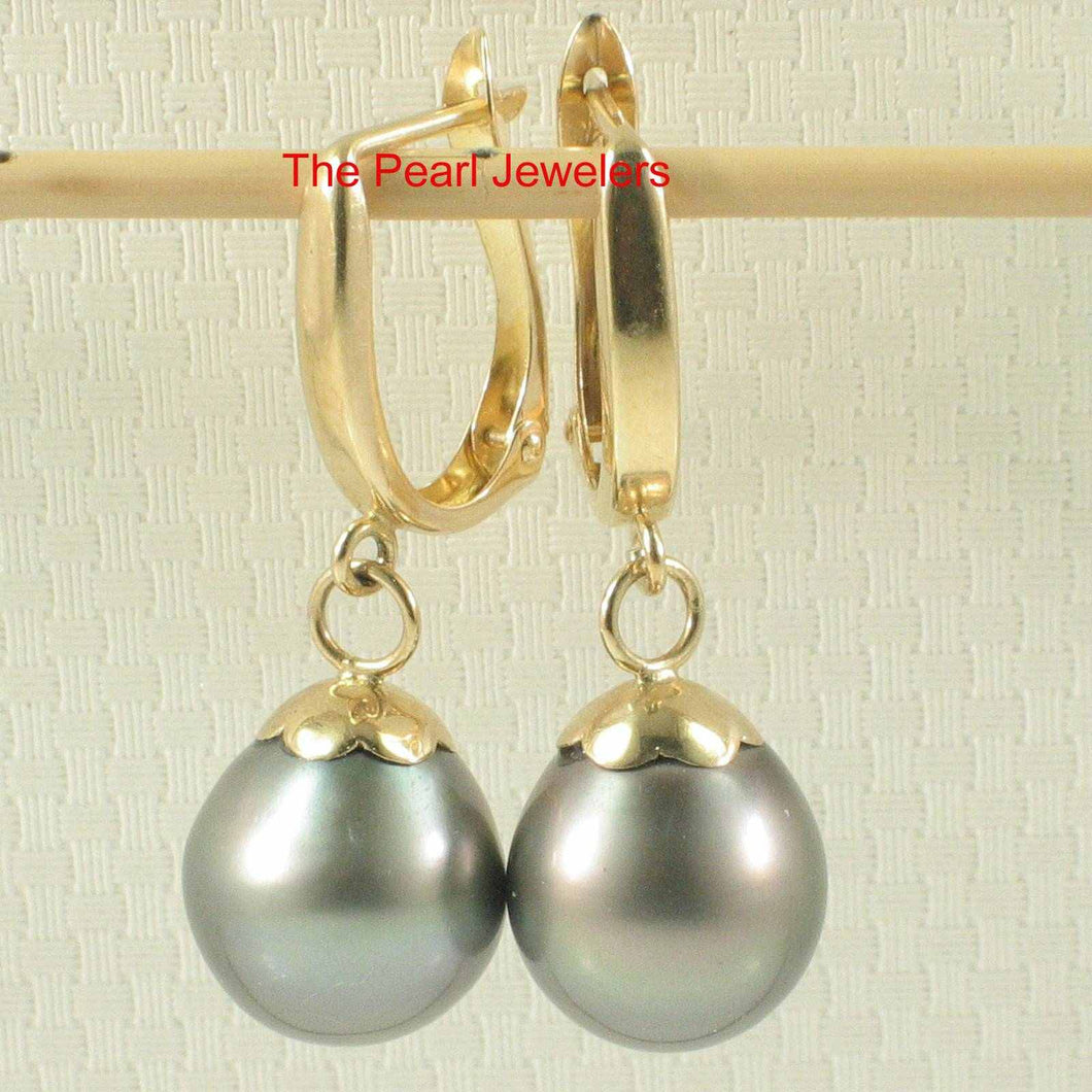 Black Peacock Tahitian Pearl Euro Back Dangle Earrings – 14k Yellow Gold