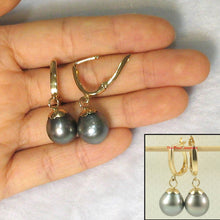 Load image into Gallery viewer, Black Peacock Tahitian Pearl Euro Back Dangle Earrings – 14k Yellow Gold