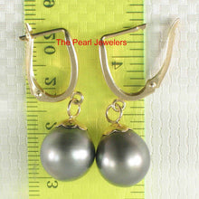 Load image into Gallery viewer, Black Peacock Tahitian Pearl Euro Back Dangle Earrings – 14k Yellow Gold