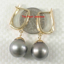 Load image into Gallery viewer, Black Peacock Tahitian Pearl Euro Back Dangle Earrings – 14k Yellow Gold