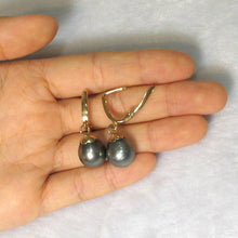Load image into Gallery viewer, Black Peacock Tahitian Pearl Euro Back Dangle Earrings – 14k Yellow Gold