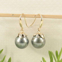 Load image into Gallery viewer, Black Tahitian Pearl &amp; Diamond Hook Earrings – 14k Yellow Gold