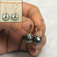Load image into Gallery viewer, Black Tahitian Pearl &amp; Diamond Hook Earrings – 14k Yellow Gold