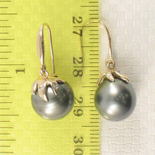 Load image into Gallery viewer, Black Tahitian Pearl &amp; Diamond Hook Earrings – 14k Yellow Gold
