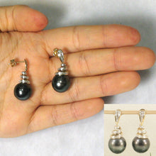 Load image into Gallery viewer, Black Tahitian Pearl &amp; Diamond Swirl Earrings – 14k Yellow Gold
