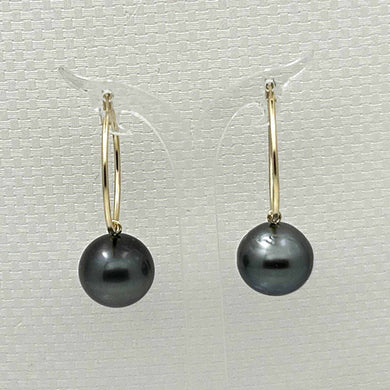 14–14.5 mm Black Tahitian Pearl Hoop Earrings – 14k Yellow Gold