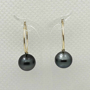 14–14.5 mm Black Tahitian Pearl Hoop Earrings – 14k Yellow Gold
