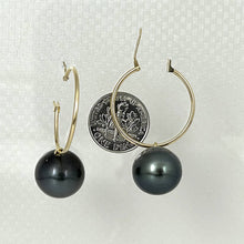 Load image into Gallery viewer, 14–14.5 mm Black Tahitian Pearl Hoop Earrings – 14k Yellow Gold