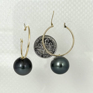 14–14.5 mm Black Tahitian Pearl Hoop Earrings – 14k Yellow Gold