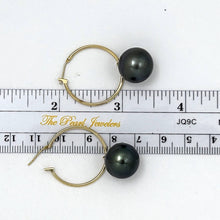 Load image into Gallery viewer, 14–14.5 mm Black Tahitian Pearl Hoop Earrings – 14k Yellow Gold