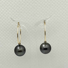 Load image into Gallery viewer, 14k Yellow Gold Black Tahitian Pearl Charm Hoop Earrings
