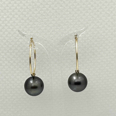 14k Yellow Gold Black Tahitian Pearl Charm Hoop Earrings