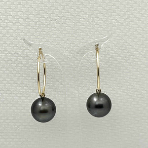 14k Yellow Gold Black Tahitian Pearl Charm Hoop Earrings