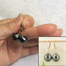 Load image into Gallery viewer, 14k Yellow Gold Black Tahitian Pearl Leverback Earrings (11.2 mm)