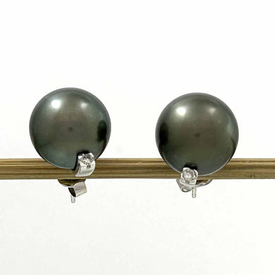 Charming Tahitian Pearl Diamond Stud Earrings – 14k White Gold