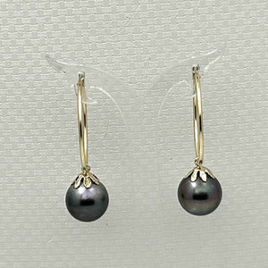 Classic Black Tahitian Pearl Hoop Earrings – 14k Yellow Gold