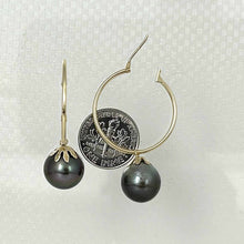 Load image into Gallery viewer, Classic Black Tahitian Pearl Hoop Earrings – 14k Yellow Gold