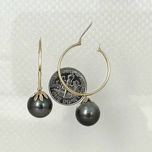 Classic Black Tahitian Pearl Hoop Earrings – 14k Yellow Gold