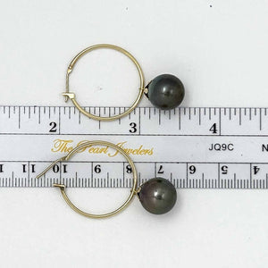 Classic Black Tahitian Pearl Hoop Earrings – 14k Yellow Gold