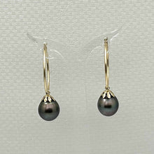 Load image into Gallery viewer, Classic Tahitian Pearl Hoop Earrings – 14k Yellow Gold