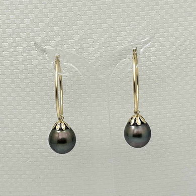 Classic Tahitian Pearl Hoop Earrings – 14k Yellow Gold