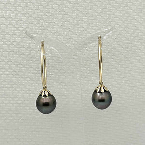 Classic Tahitian Pearl Hoop Earrings – 14k Yellow Gold
