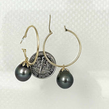 Load image into Gallery viewer, Classic Tahitian Pearl Hoop Earrings – 14k Yellow Gold