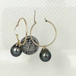 Classic Tahitian Pearl Hoop Earrings – 14k Yellow Gold