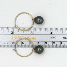 Load image into Gallery viewer, Classic Tahitian Pearl Hoop Earrings – 14k Yellow Gold