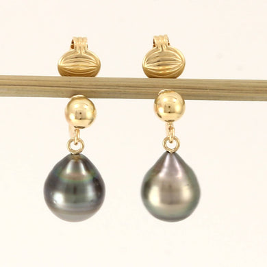 Classic Black Tahitian Pearl Clip On Dangle Earrings – 14k Yellow Gold & Fill