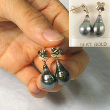 Load image into Gallery viewer, 14k Yellow Gold Diamond &amp; Peacock Tahitian Pearl Dangle Earrings