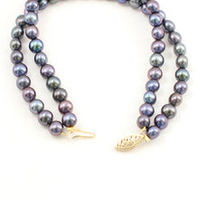 Load image into Gallery viewer, 14k Yellow Gold Clasp Double-Strand Peacock Freshwater Pearl Bracelet